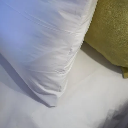 Bed & Breakfast Sobieskiego 9 Rybnik (Silesia)
